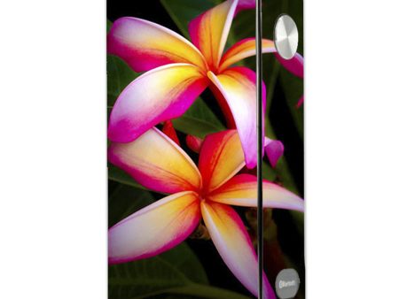 Plumeria Laisimo L3 Touch Screen Skin Online now